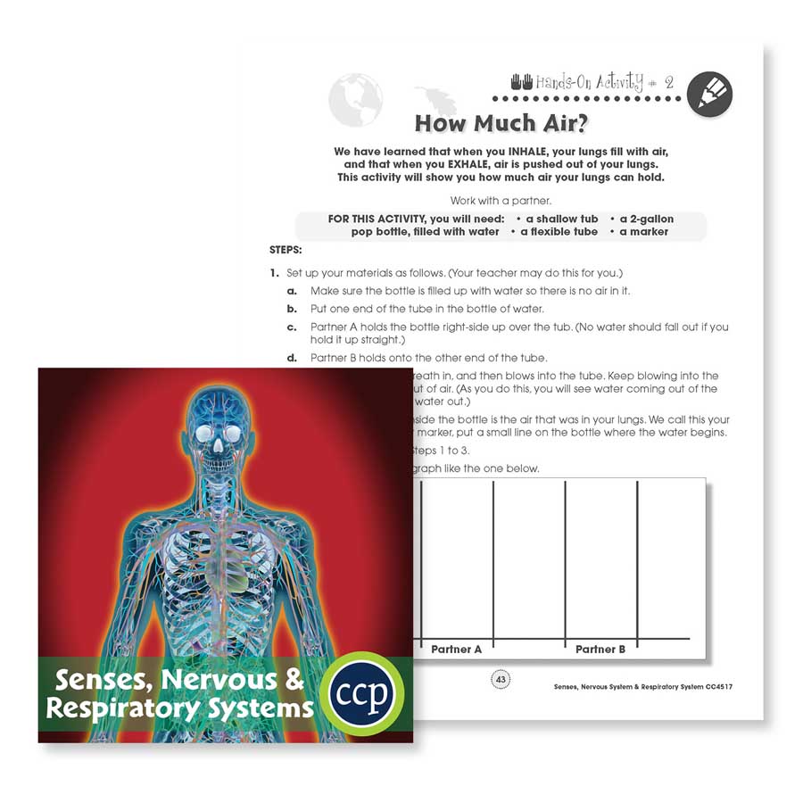Senses, Nervous & Respiratory System: How Much Air Experiment Gr. 5-8 - WORKSHEET - eBook