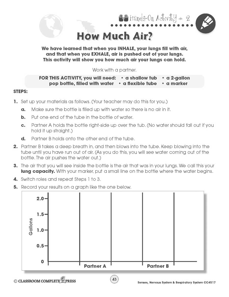 Senses, Nervous & Respiratory System: How Much Air Experiment Gr. 5-8 - WORKSHEET - eBook