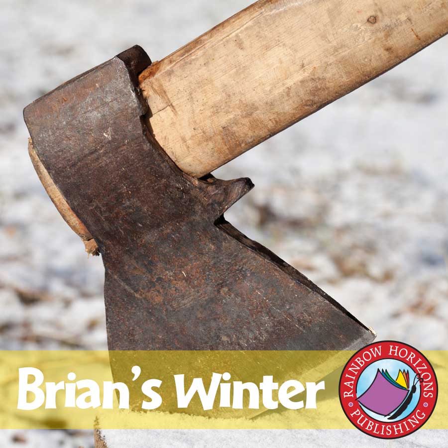 Brian's Winter (Novel Study) Gr. 4-7 - eBook